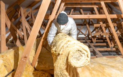 Loft Insulation: Costs, Ventilation & Dampness Challenges